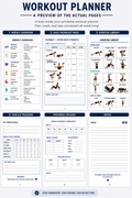 7-Day Weekly Workout Planner (Printable)